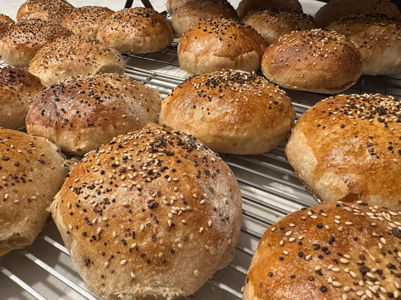 Fresh-baked sesame bread rolls cooling on wire racks